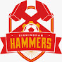 Birmingham Hammers logo