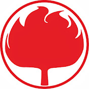 Burning Oak Studios