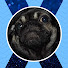 cmVPEPuGP40-channel-avatar-xPugsly