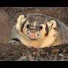 oye9AmOdsZc-channel-avatar-bobiobobhead