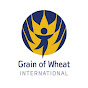 Grain of Wheat International logo