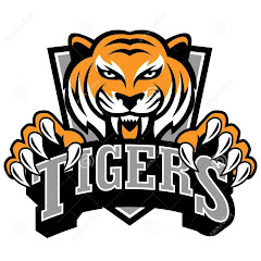 Channel thumbnail for Tiger Pro Bhai