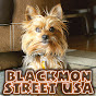 BLACKMON STREET USA logo