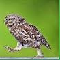 Miniature