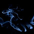 HP9vxUM4IDo-channel-avatar-XethoR