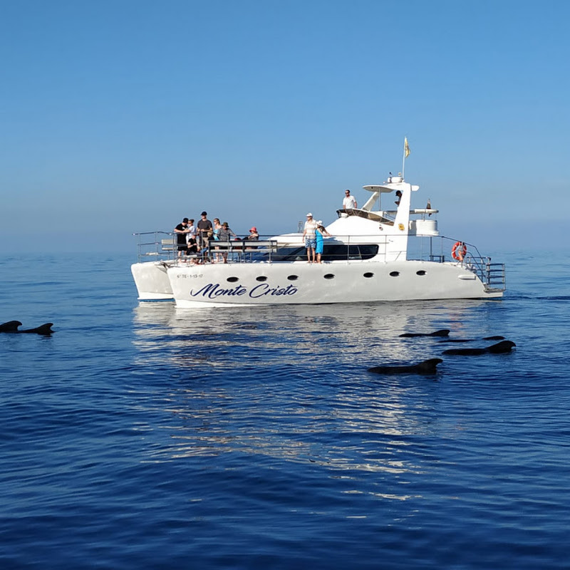 montecristocatamaran3678