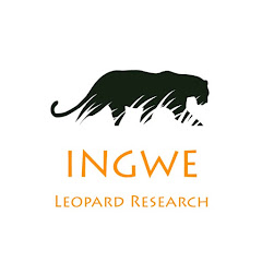 Логотип каналу IngweLeopardResearch