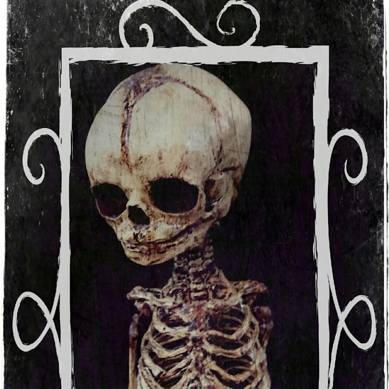 Love Bizarre Oddities