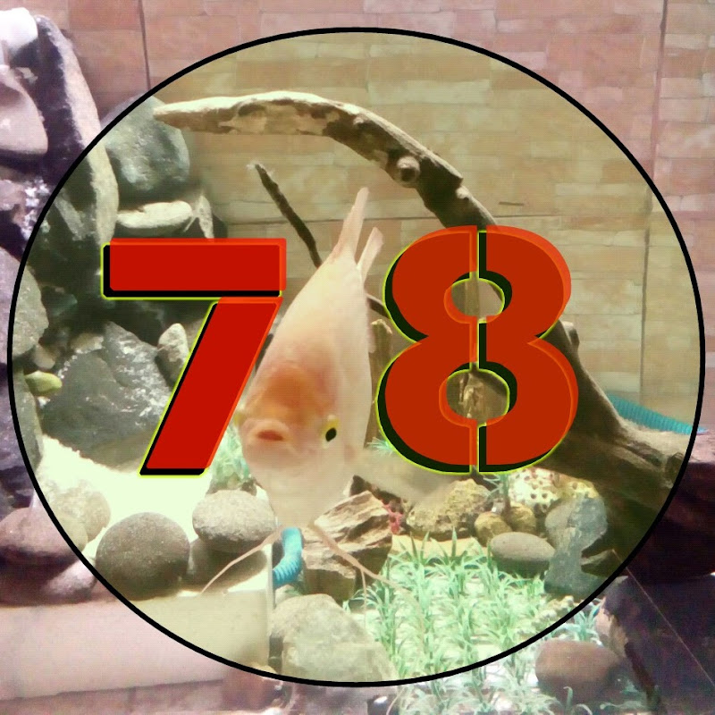 Ornamental Fish 78