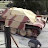 tankman104c