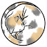 WwloAHk-IGQ-channel-avatar-ほら穴チャンネル