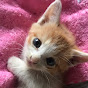 ななちゃんねる