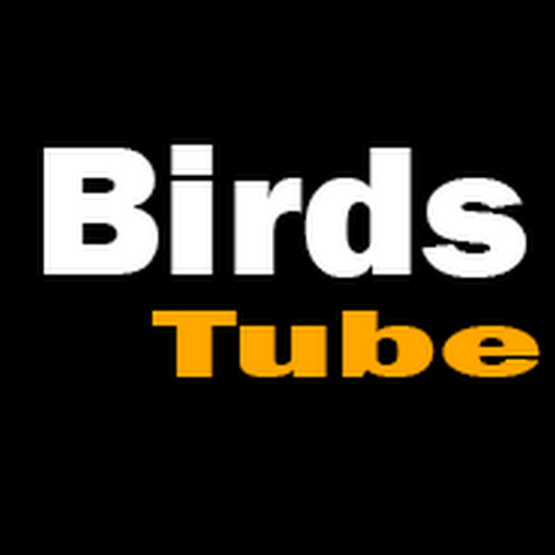 Birds Tube icon