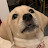 @JulieJackson1's avatar