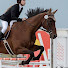 S22NSlclQoI-channel-avatar-Equine Connection