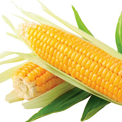 サブチャンコーン