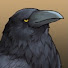 G9B-wgTl178-channel-avatar-evileagle