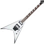 Master Guitar