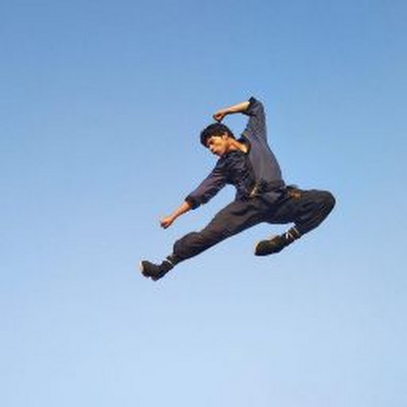 power kung fu acadamy kung fu avatar