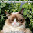 @ericviele171's avatar