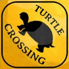 Da Turtle channel logo