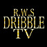 giTngL829Z4-channel-avatar-T.V R.W.Sドリブル