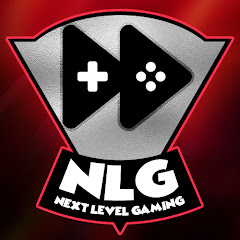 Next Level Gaming net worth