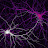 Neuro 1