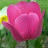@freedavsimon3108