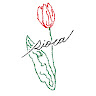 sioca Hand made