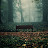 @morninggloomy7840