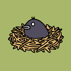 Ｒａｖｅｎ