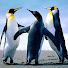 _52a76XKZdE-channel-avatar-toriton2140