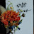 @은파-p4e