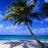 @Caribbeansea58