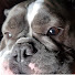 Channel Image