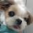 @필레-m7g