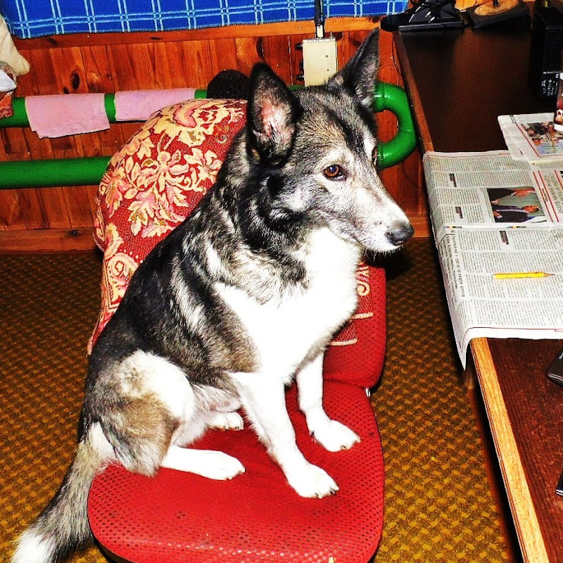 A.V. //// Немного о разном //// Logo