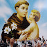 8iu9p_iPtQA-channel-avatar-St Anthony Ashram Jeppu