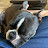 @scottgeiger6450's avatar