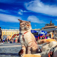 マカマカアイコン画像