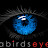 A Bird's Eye Media