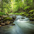 kF_deqK3JLk-channel-avatar-Soothing Harmony