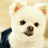 @박시형-y3g