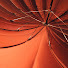 SBMQYgamLkE-channel-avatar-wingpartners