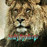 nVREfhzwl3g-channel-avatar-Andry Pyrofuego