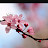 @Tessanna12 Avatar