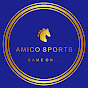 AMICO SPORTS