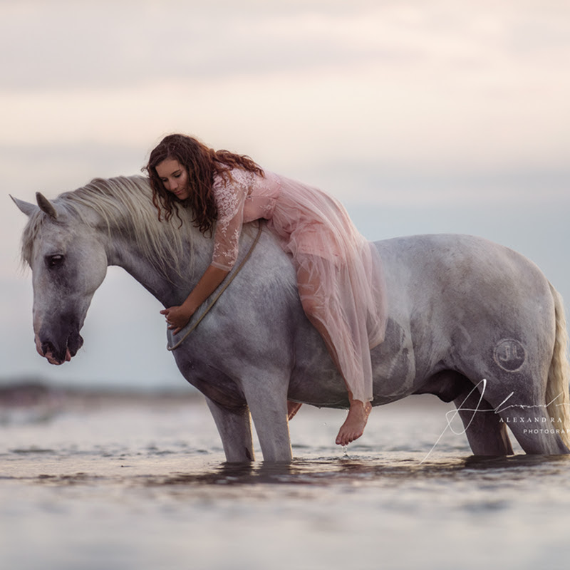 Dancinghorses