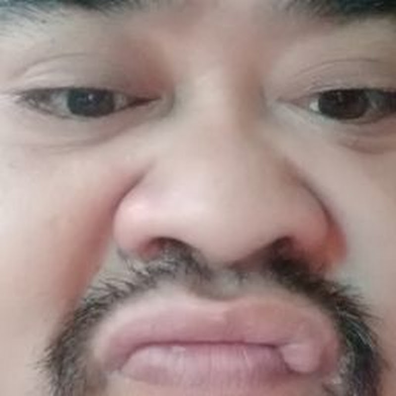 akitachikita vlog